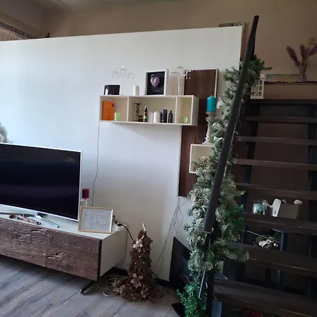 Apartamento Damir *